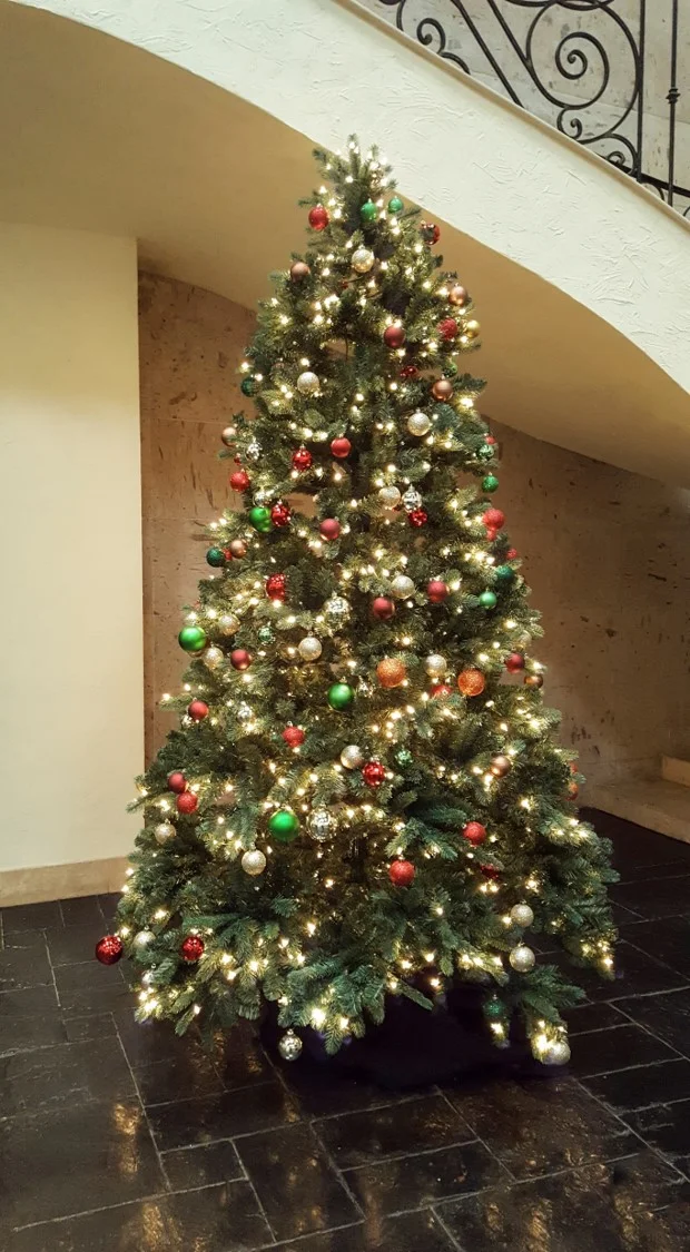 Christmas Tree $50 ea.